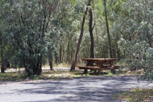 Goonoowigall State Conservation Area - Tourism Bookings WA